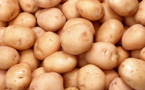 Indian Origin and Hand Picked A Grade Organic Fresh Potato