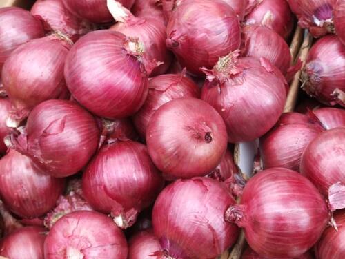 Naturally Grown and A Grade Maharashtra Nashik Red Onion For Food