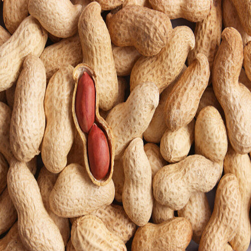 Brown Whole Dried Raw Peanut With Shell (Groundnut) For Human Consumption