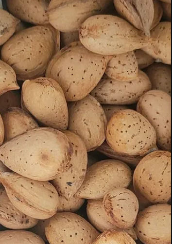 13% Moisture Content Dried Common Cultivation Whole Almond In-Shell