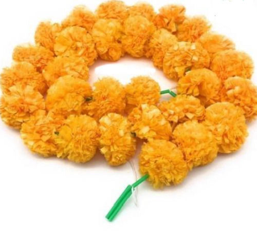 Brocade Breed Fresh Marigold Garland 