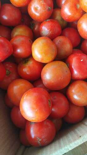 Fresh Red Tomato For Cooking Use Shelf Life 3 Days