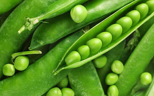 A Grade Fresh Green Peas, High In Carbohydrate And Protein