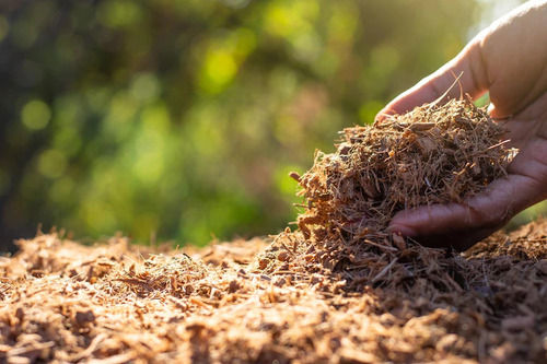 Brown Coco Coir Peat Husk For Garden, packaging Size 10- 20 Kg