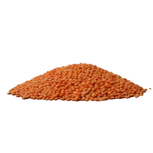 Organic Masoor Dal Crop Year: 6 Months