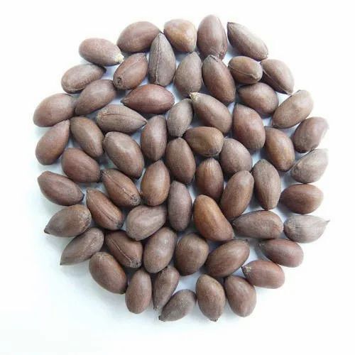 1 Mm Thickness Cotton Seeds For Agriculture Use