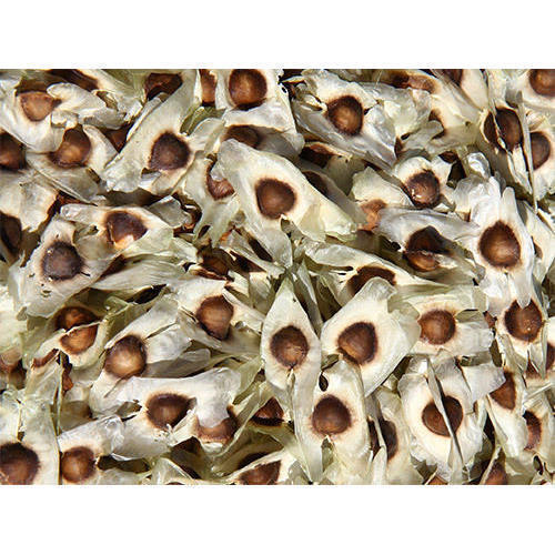 100% Pure Organic Moringa Seeds