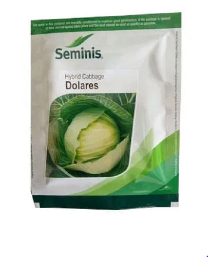 86% Pure Organic Seminis Hybrid Dolares Cabbage Seeds For Agricultural