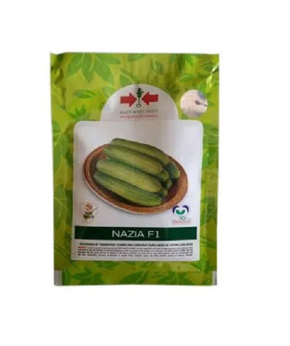 98% Pure Organic Hybrid Agricultural Cucumber Seed For Agricultural 