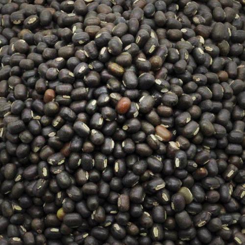 Black Whole Urad Dal, Packaging Size 25 - 50 Kg