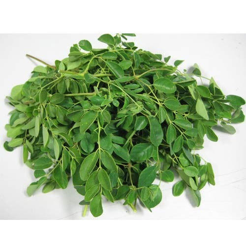 Dry Moringa Leaves With 2 Year Shelf Life