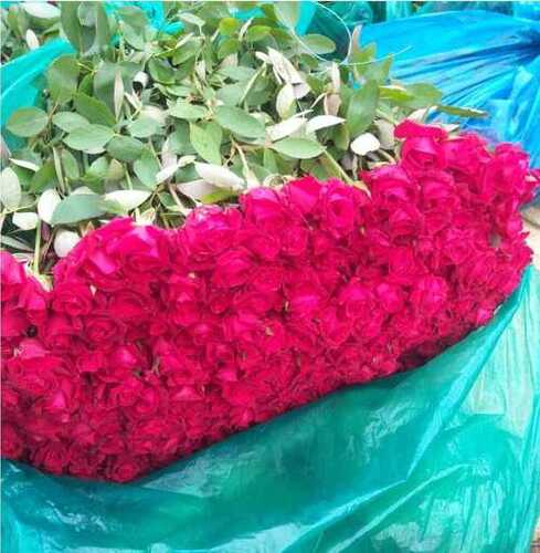 Pesticide Free No Artificial Color Organically Harvested Fresh Rose Flower