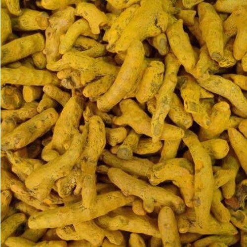 Yellow Raw Turmeric