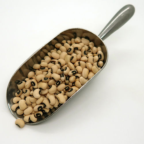 Gluten Free White Black Eyed Beans, High In Protein And Energy