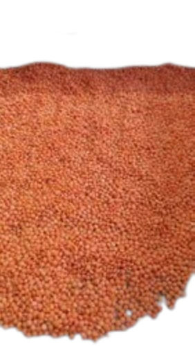 Pure Masoor Dal With 2 Percent Admixture Comes With Shelf Life 2 Years Admixture (%): 2%