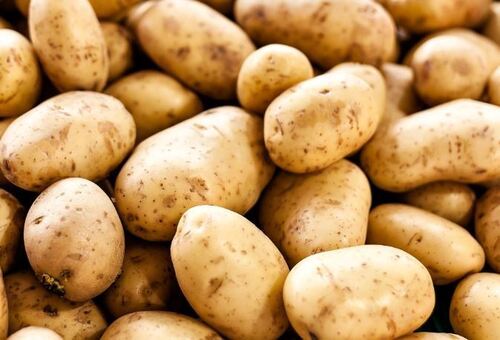 प्राकृतिक और शुद्ध सामान्य रूप से उगाया जाने वाला गोल ए-ग्रेड कच्चा ताजा आलू