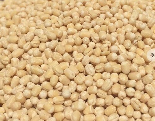 1 Kilogram Nutritious And Rich In Protein Oraganic White Urad Dal Admixture (%): 0.025%