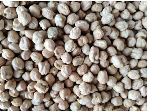 A Grade Nutrient Enriched 99% Pure Fresh And Organic Kabuli Chana