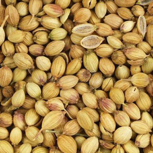 Food Grade Organic Brown Coriander Seeds For Cooking Usage