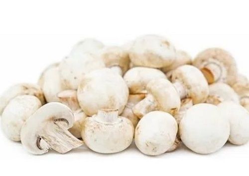 White 450 G Weight Puffball Dried Button Fresh Mushroom 