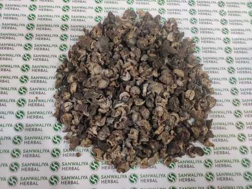 Dried Seedless Awla For Herbal Medicine With 12 Months Shelf LIfe