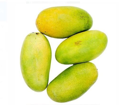 Green Pure And Natural Commonly Cultivated Whole Sweet Non Glutinous Fresh Mango 