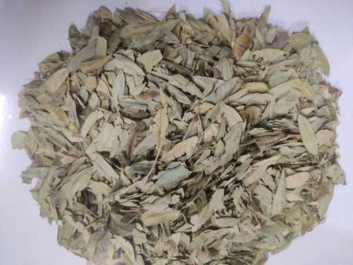 Dried Light Green Senna Leaves For Medicinal Uses
