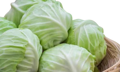 Natural Farm Fresh Green Whole Cabbage For Salads and Vegetables