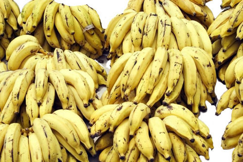 A Grade Commonly Cultivated Riped Yellow Whole Sweet Banana Fruit