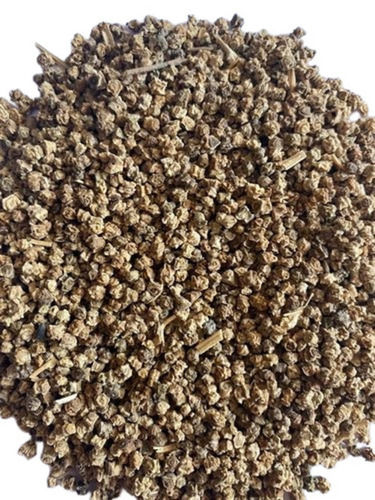 Agriculture Grade And Commonly Cultivated Dried Non Hybrid Spinach Seed