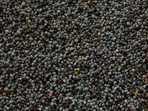 Pure 100 % And Healthy Black Poppy Seeds