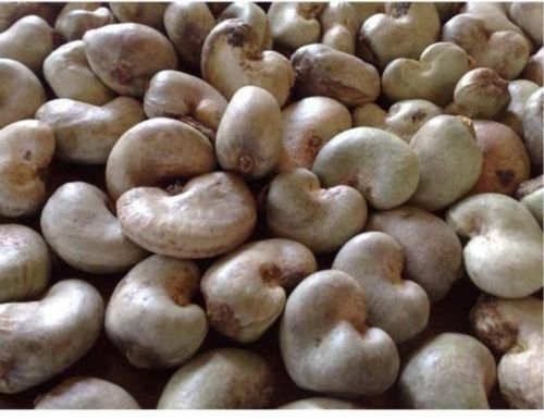 raw cashew nut