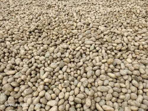 खाना पकाने और नाश्ते के उपयोग के लिए 100% मैच्योरिटी वाला ताज़ा प्राकृतिक आलू