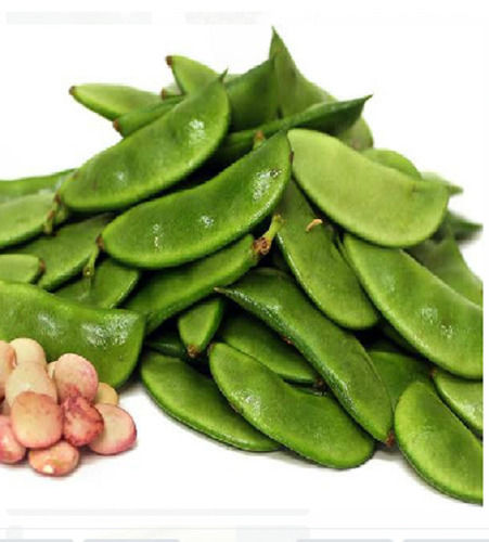 95% Pure Natural Vegetarian Bean Seeds With 20% Moisture For Agricultre