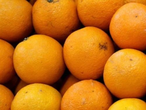 Commonly Cultivated Round Sour And Sweet Taste Orange Fruit
