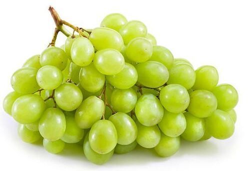 Silver Commonly Cultivated Sweet And Sour Taste Grapes