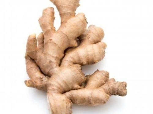 Indian Origin Naturally Grown 100% Pure A Grade Farm Fresh Raw Ginger