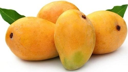 Pesticide Free Sweet And Delicious Taste Fresh Mangoes