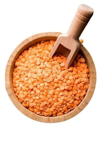100 Percent Pure And Organic A Grade Round Shape Dried Masoor Dal