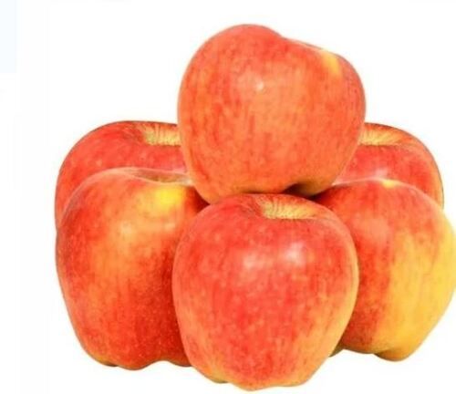 Commonly Cultivated Pure And Natural Non Glutinous Sweet Fresh Apple