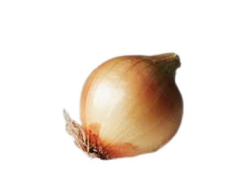 Farm Fresh Round Shape Raw Processing Onion With Original Flavor And Aroma Moisture (%): 86%