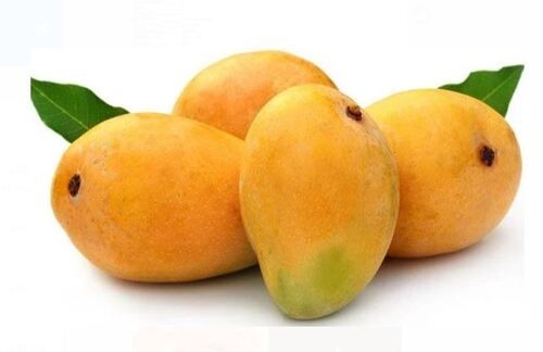 Fresh And Natural Commonly Cultivated Non Glutinous Sweet Mango 