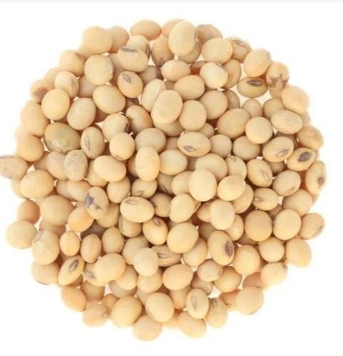 Locally Grown Preservative-Free and High Protein Soybean Seed 