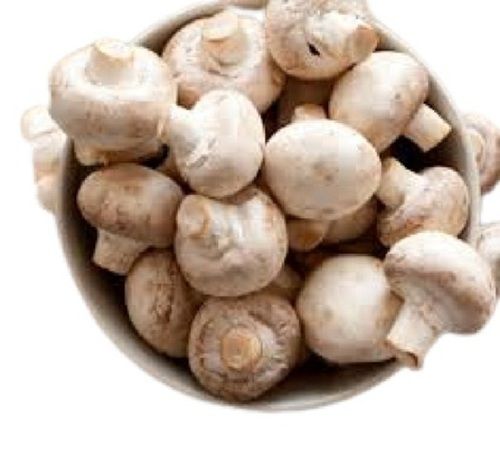Off White A Grade Naturally Grown Fresh Mushroom, 1Kg Pack