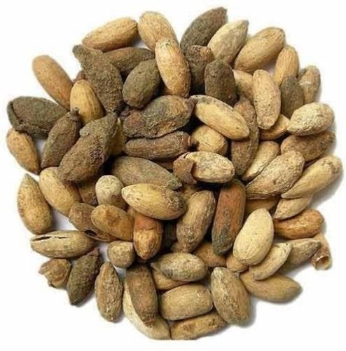 1 Kilogram Natural Commonly Cultivated Healthy Dried Neem Seeds Moisture (%): 8.2%