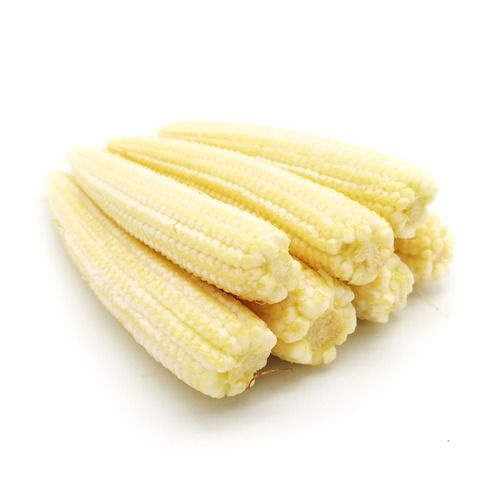 1 Week Shelf Life No Preservatives 100% Pure Baby Corn