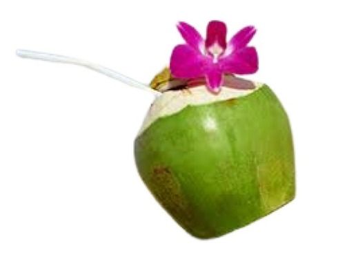 Fresh Sweet Taste Beverage Tender Coconut Water Alcohol Content (%): 0%