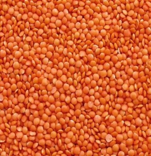 Healthy And Nutritious Dried Semi Round Splited Masoor Dal