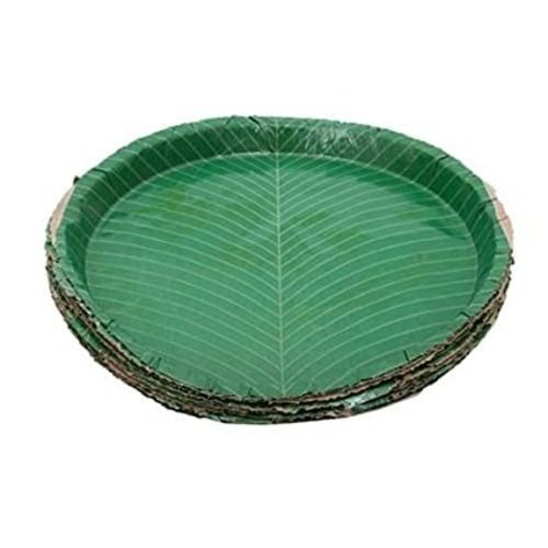 Green Pack Of 24 Pieces 12 Inches Recyclable Disposable Paper Plate