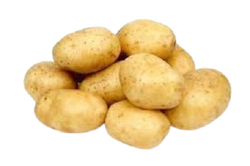 Pure And Natural A Grade Round Fresh Raw Potato